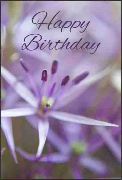 BirthdayCards/BD12.jpg