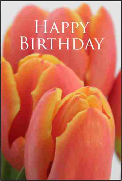 BirthdayCards/BD13.jpg