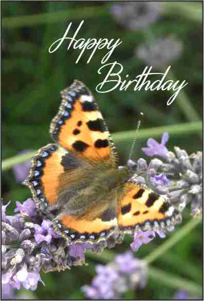 BirthdayCards/BD28.jpg