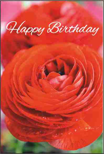 BirthdayCards/BD31.jpg