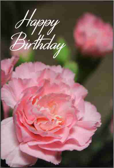 BirthdayCards/BD35.jpg