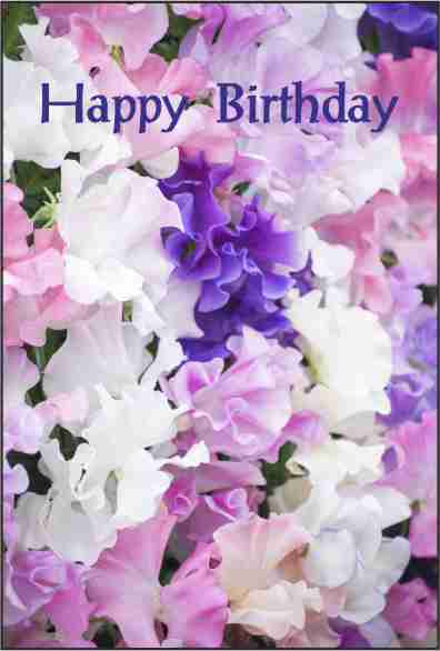 BirthdayCards/BD9.jpg