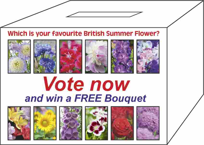 BritishFlowerWeek/BallotBox22.jpg