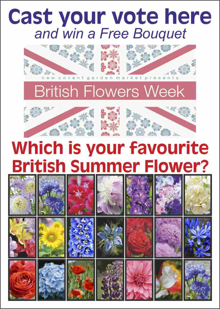 BritishFlowerWeek/CastYourVotePoster22.jpg