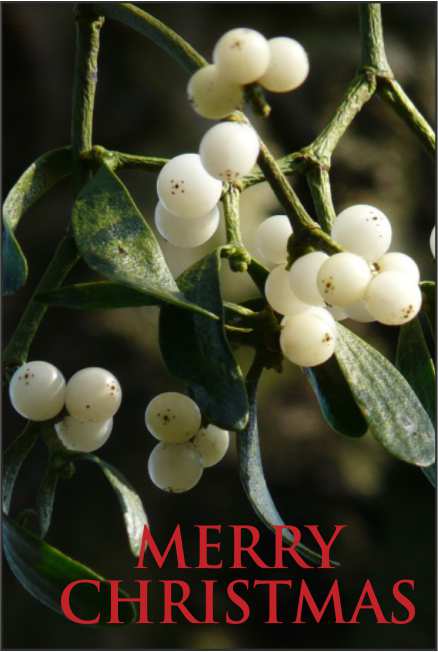 Christmas/TGMistletoecaptioned.jpg