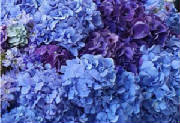 ColourBurst/CB13.jpg