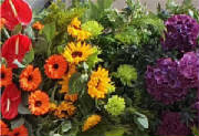 ColourBurst/CB21.jpg
