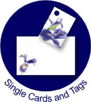 FloristSite/ButtonSingleTag.jpg