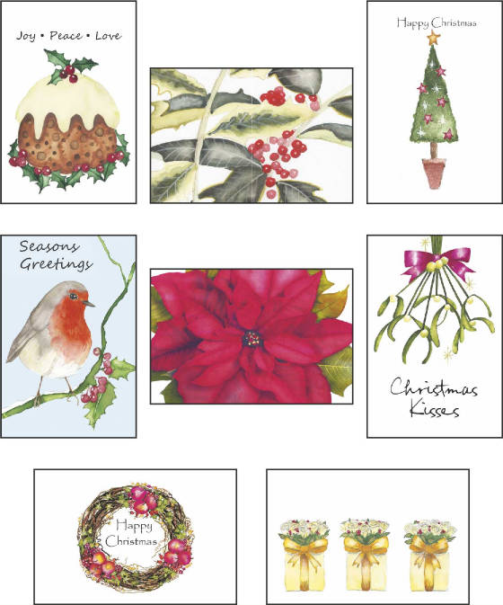Flowercard/ChristmasFlowerCardCoImageForWebsite.jpg
