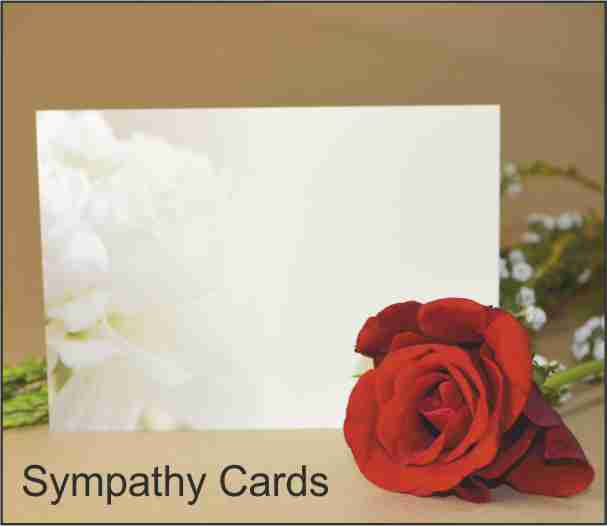 HomePage/SynpathyCards.jpg